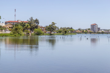 Birds resting at Violao lake in Torres