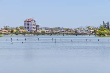 Birds resting at Violao lake in Torres © lisandrotrarbach