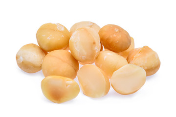 dried macadamia nut isolated on white background