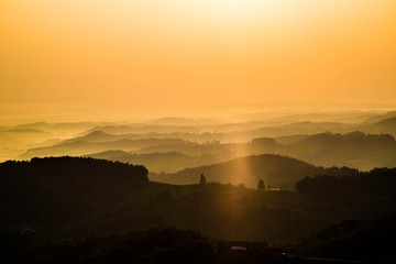 wundersch&ouml;ner Sonnenaufgang in den Weinbergen im Herbst mit traumhaften Schattierungen und zarten Nebelschleiern