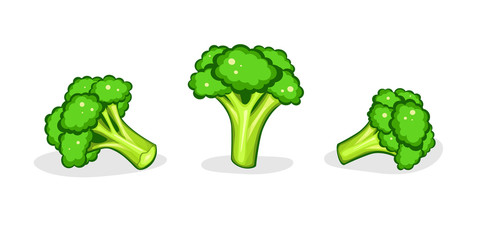 Broccoli set isolated on white background. Vector cartoon illustration. Fresh green Vegetable, Vegetarian, vegan Health organic food. Modern trendy stylized.