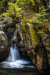 Fototapeta na wymiar Roaring Fork Waterfall 2