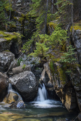 Fototapeta na wymiar Roaring Fork Waterfall 1