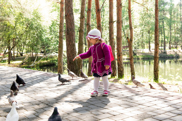Fototapeta premium The child, a little girl in a park feeding pigeons. Parenting and child development. Organization preschooler recreation.
