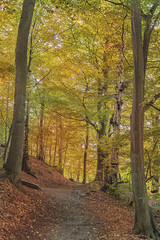 Helsingborg Jordbodalen Forest Park