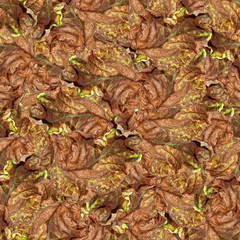 seamless background pattern texture of  huge leaves of poplar