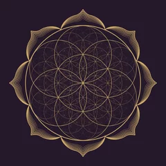 Photo sur Plexiglas Pour elle illustration vectorielle de la géométrie sacrée du mandala.