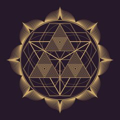 vector mandala sacred geometry illustration.