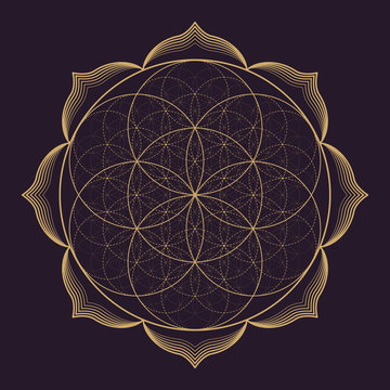 vector mandala sacred geometry illustration.