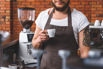 Joyful bartender working in coffeehouse