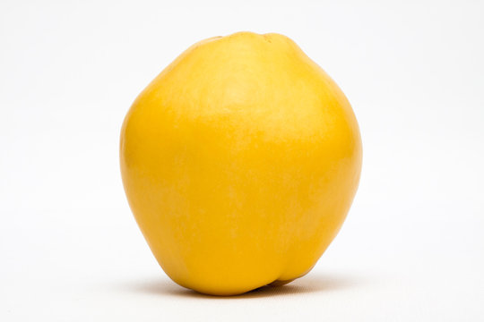 Ayva Images – Browse 188 Stock Photos, Vectors, and Video | Adobe Stock