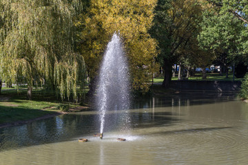 Naklejka premium parc