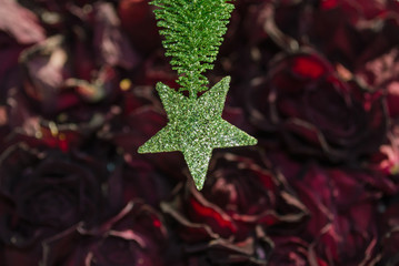 green sparkling star on dried rose petals background