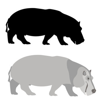 Hippo vector illustration style Flat set black silhouette