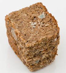 Schimmel auf einem Vollkornbrot