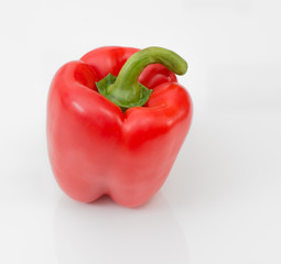 red bell pepper 