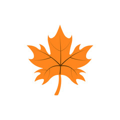 Autumn leafes icon vector
