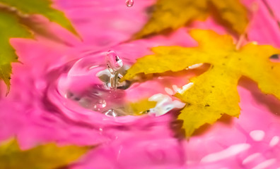 Still life with water
