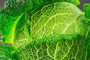 Raw organic savoy cabbage with water drops. Horizontal.