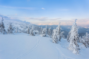Fantastic evening winter landscape