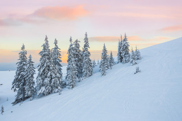 Fototapeta premium beautiful sunset in the sunny foothills of the Alps affects the viewer's imagination