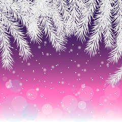 Fototapeta na wymiar Christmas background. Silver branch of spruce. Template for your text.