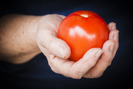 Tomato in the hand of a woman