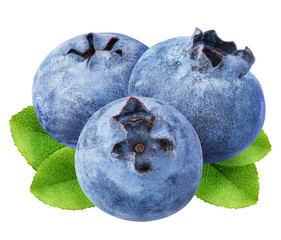 Obraz premium ripe blueberrys isolated on white background