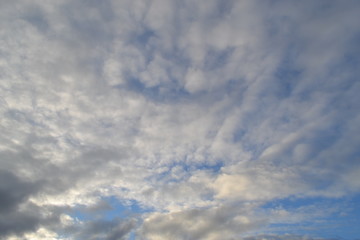 Fototapeta premium clouds in sky 