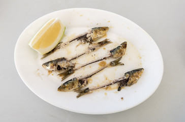 Bones of five eaten Sardines, on a white plate. with the head and tails intact, and a wedge of Lemon on the side
