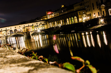 Plants on the river bank with a view of the historic Ponte Vecchio bridge by Night