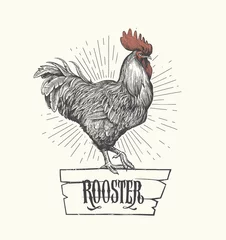 Foto op Plexiglas Rooster in graphic style, hand drawn illustration. Symbol of 2017. Vector © FoxyImage