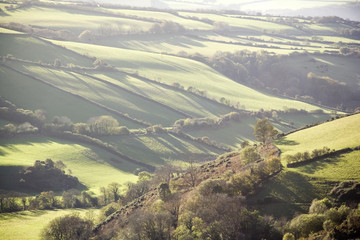 Obraz premium exmoor devon somerset uk