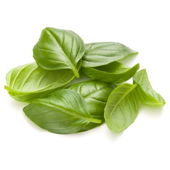Sweet basil herb leaves handful isolated on white background clo