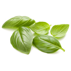Sweet basil herb leaves handful isolated on white background clo