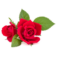 red rose flower bouquet isolated on white background cutout