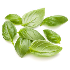 Sweet basil herb leaves handful isolated on white background clo