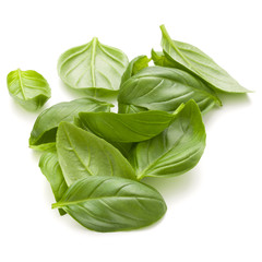 Sweet basil herb leaves handful isolated on white background clo