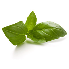Fototapeta premium Sweet basil herb leaves isolated on white background closeup