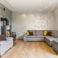 Living room in grey idea