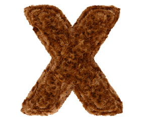 3d bushy bear fur alphabet capital letter X