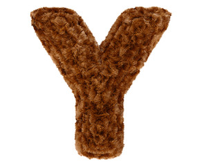 3d bushy bear fur alphabet capital letter Y