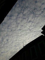 Cielo a pecorelle...