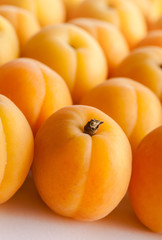 Apricots closeup group in studio top view lined up on white background