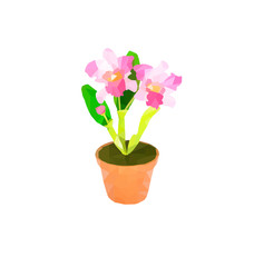 polygon flower orchid.