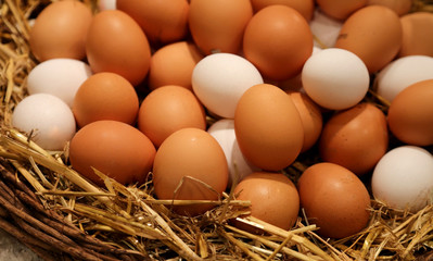 wicker basket with chicken eggs