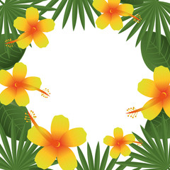 beautiful decoration floral background vector illustration design