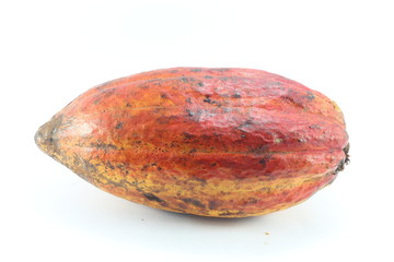 cacao fruit, cacao beans , cacao nibs