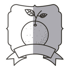 Orange fruit icon. Healthy organic and fresh food theme. Isolated design. Vector illustration