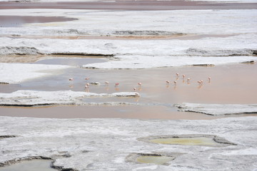 amazing landscape in Atacama desert Chile